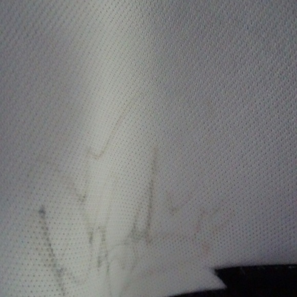 CCM NHL MIGHTY DUCKS GERRIE ELECTRIC JERSEY AUTOGRAPHED WITH 4 SIGNATURES - Picture 4 of 5